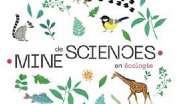 Mine de Sciences